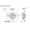 FREN DİSKİ ARKA P307 (00-07) C4  I (04-11) CACTUS (14>) DS3 (09-13)  PORYALI RULMANLI ABS OKUYUCULU DÜZ 249MM
