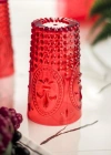 Akrilik Kırmızı Tekli Uzun Bardak & Su Meşrubat Bardağı 750 ml ( Büyük Boy & Cam Değildir )