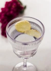 Akrilik Şeffaf Tekli Kadeh & Su Meşrubat Kahve Yanı Bardağı 300 ml ( Cam Değildir )