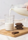 Allegra Şeffaf Akrilik Bardak | 400 ml Su, Meşrubat, Sunum ve Kahve Yanı İçin | Cam Değildir | Kırılmaya Dayanıklı Tekli