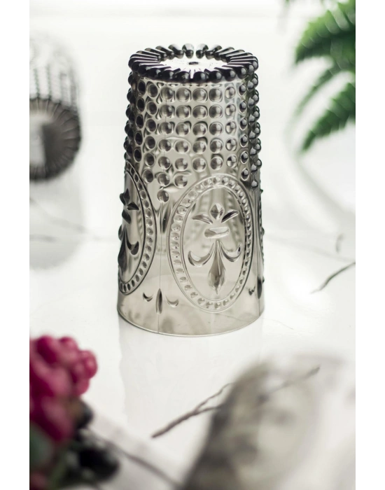 Akrilik Füme Tekli Uzun Bardak & Su Meşrubat Bardağı 750 ml ( Büyük Boy & Cam Değildir )