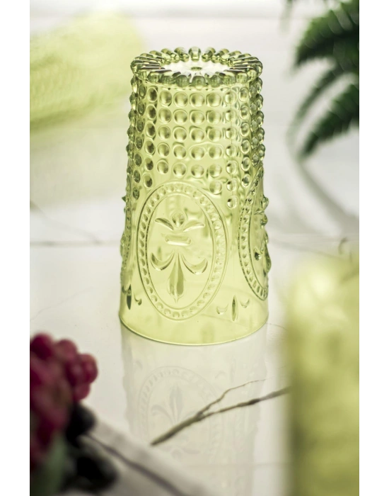 Akrilik Yeşil Tekli Uzun Bardak & Su Meşrubat Bardağı 750 ml ( Büyük Boy & Cam Değildir )
