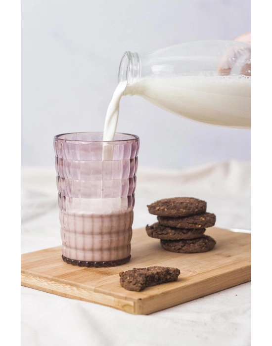 Allegra Mürdüm Akrilik Bardak | 400 ml Şık Su ve Meşrubat Bardağı | Cam Değildir | Kırılmaya Dayanıklı Tekli