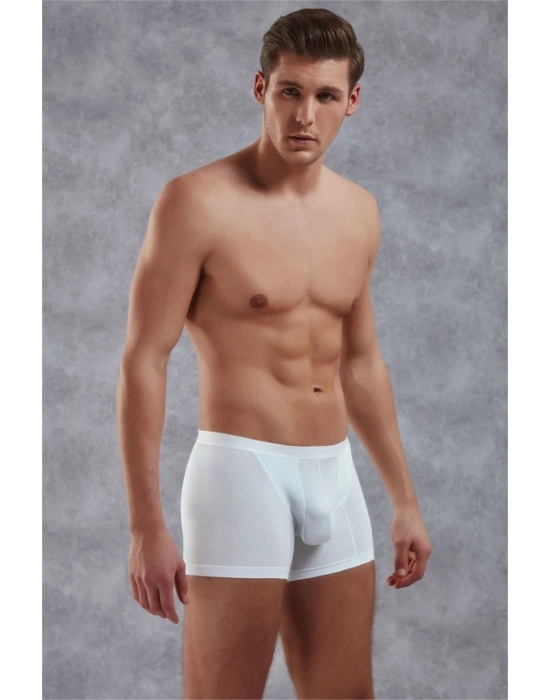 Doreanse Elegant Erkek Boxer 1770