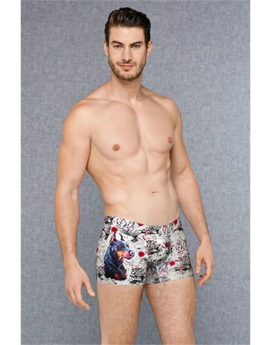 Doreanse Erkek Modal Baskılı Boxer 1808