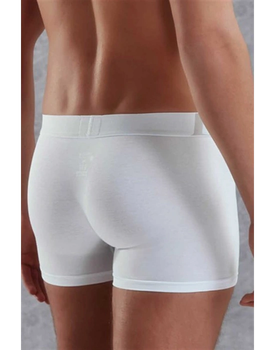 Doreanse Erkek Modal Normal Paça Boxer 1777P