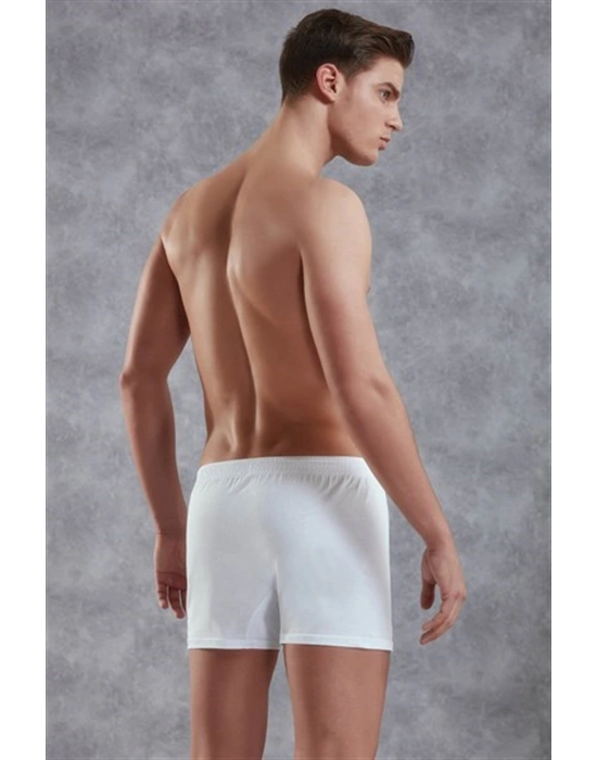 Doreanse Erkek Pamuk Battal Boy Boxer 1511P