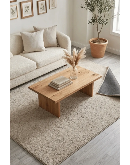 Mars-GÜMÜŞ/BEJ-Premium Kadifemsi Halı Oturma Odası-Salon-Mutfak-Kaymaz Taban -Yıkanabilir-Modern