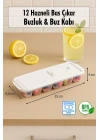 12 Hazneli Bas Çıkar Buzluk & Buz Kabı Mavi