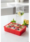 6 Hazneli Silikon Buz Kalıbı & Çok Amaçlı Buzluk Ve Dondurucu Organizeri 11x16 cm