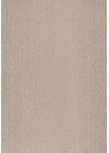 Mars-GÜMÜŞ/BEJ-Premium Kadifemsi Halı Oturma Odası-Salon-Mutfak-Kaymaz Taban -Yıkanabilir-Modern