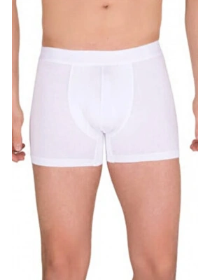 Berrak Erkek Modal Boxer  4476