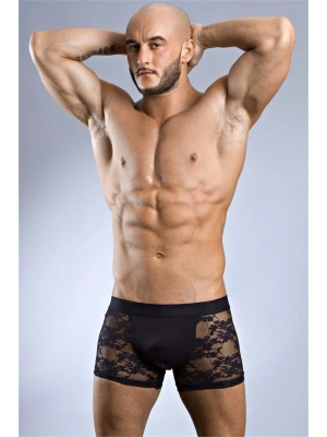 Doreanse 1952 Erkek Boxer