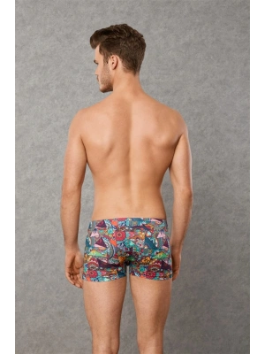 Doreanse Patchwork, Desenli Erkek Boxer 1807