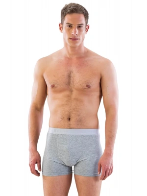 GRİ MI Emay 6800 Erkek Boxer