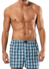 Erdem Erkek Poplin Boxer 1440