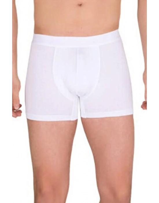 Berrak Erkek Modal Boxer  4476