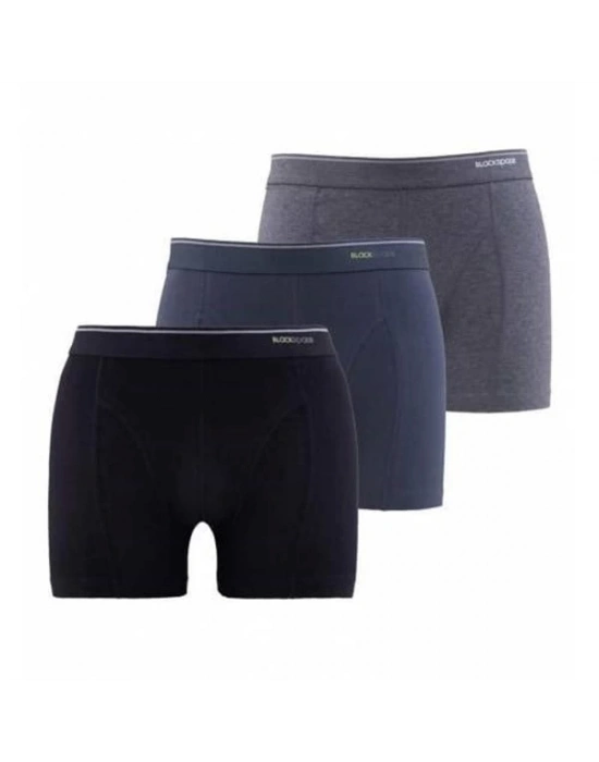 Blackpade Erkek Boxer 9473