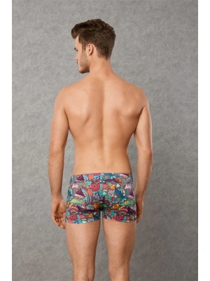 Doreanse Patchwork, Desenli Erkek Boxer 1807