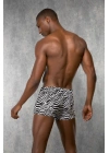 Doreanse Zebra,Desenli Erkek  Boxer 1814