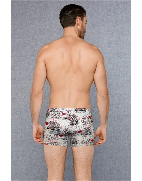 Doreanse Erkek Modal Baskılı Boxer 1808