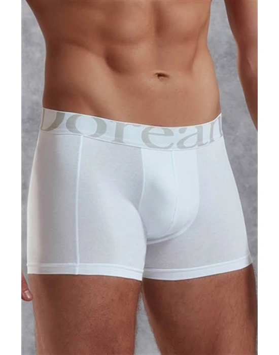 Doreanse Erkek Modal Normal Paça Boxer 1777P