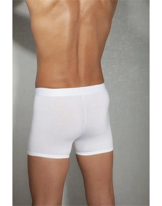 Doreanse Rahat Erkek Boxer 1755