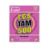 8. Sınıf Lgs Tam 500 Soru Bankası Tüm Dersler -