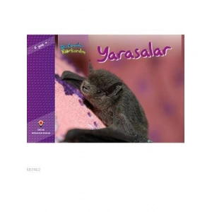 Bir Zamanlar Korkardım - Yarasalar