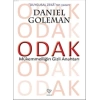 Odak