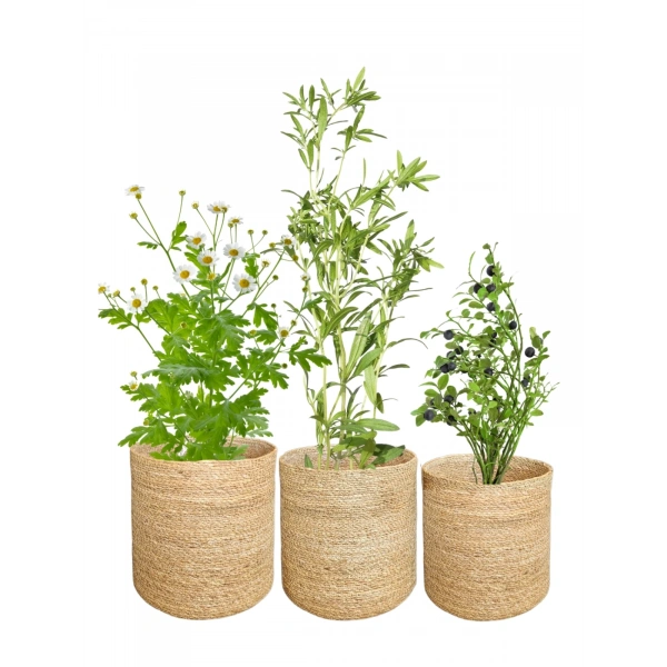 Naturale Büyük 3lü Hasır Saksı İçi Naylon Korumalı