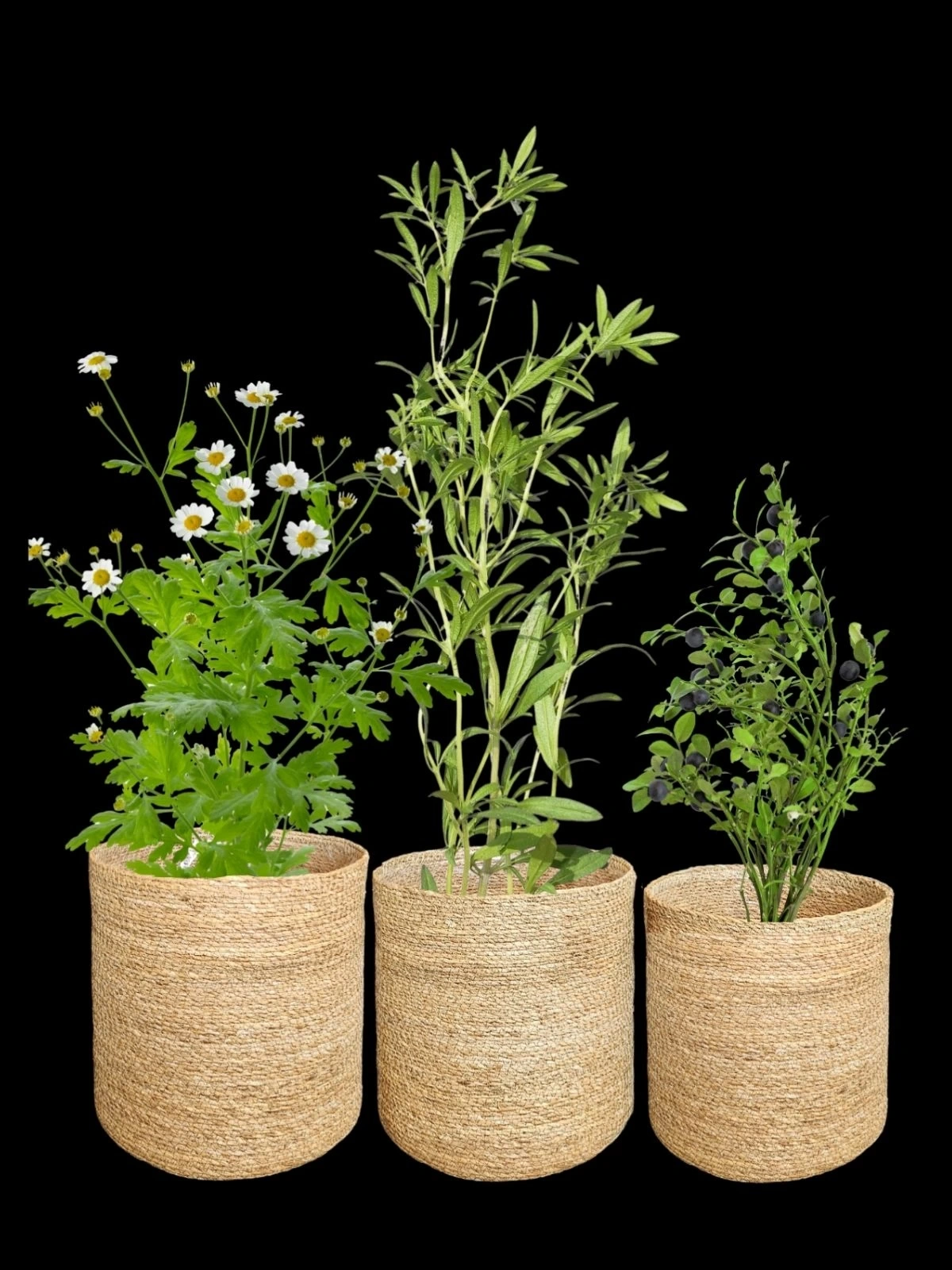 Naturale Büyük 3lü Hasır Saksı İçi Naylon Korumalı