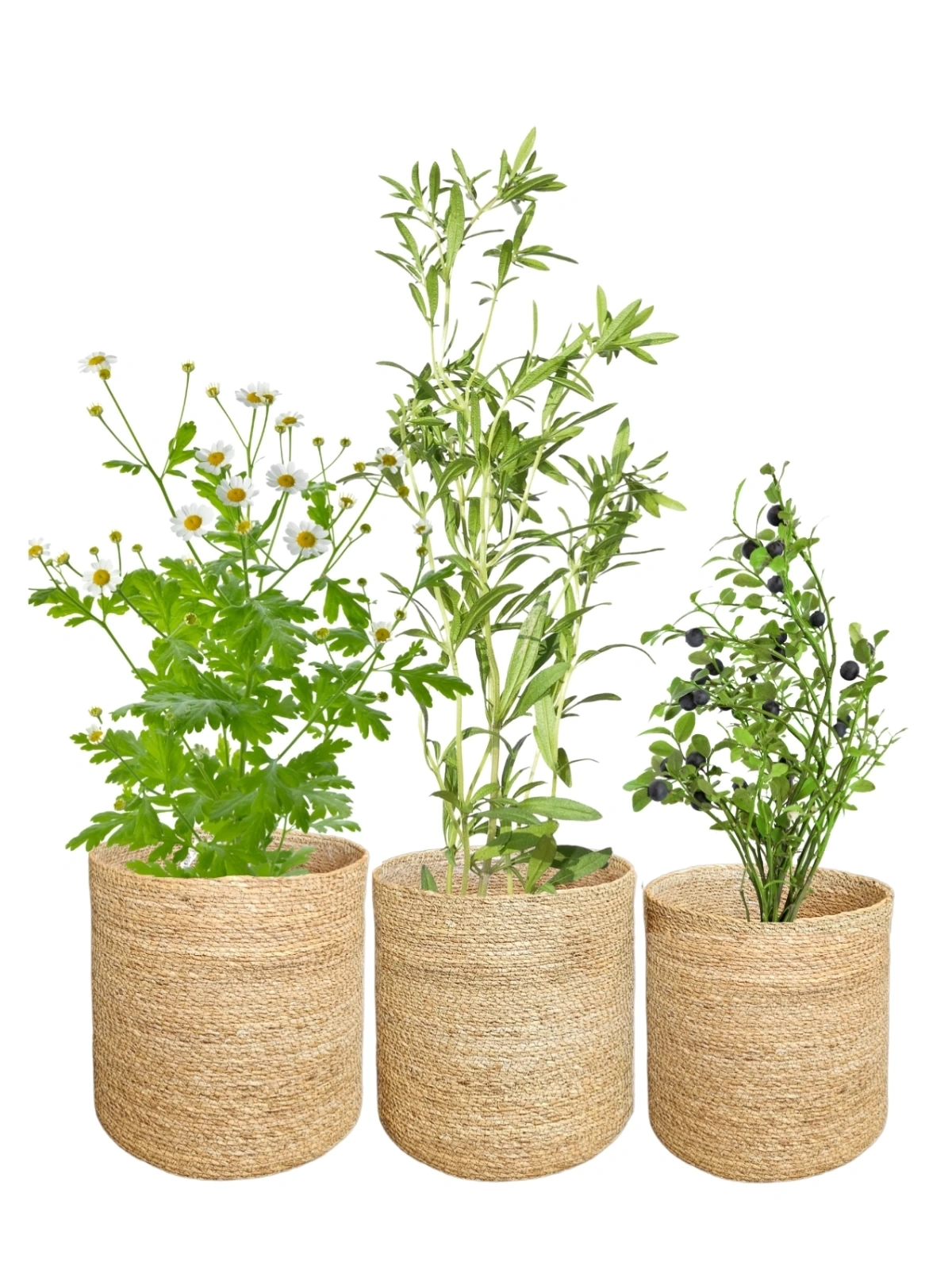 Naturale Büyük 3lü Hasır Saksı İçi Naylon Korumalı