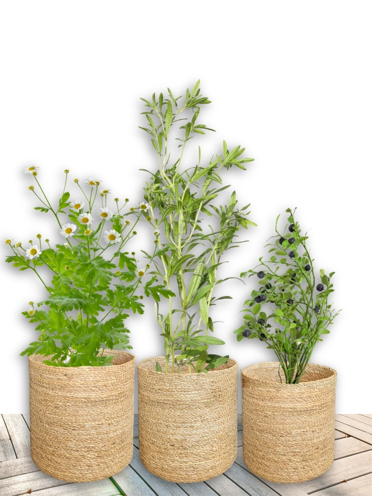 Naturale Büyük 3lü Hasır Saksı İçi Naylon Korumalı