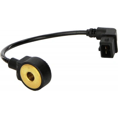 Bmw 316i Vuruntu Sensörü