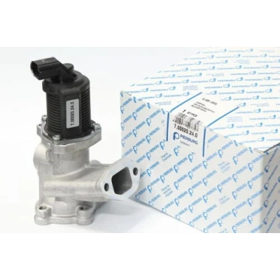 Fiat Punto Egr Valfi