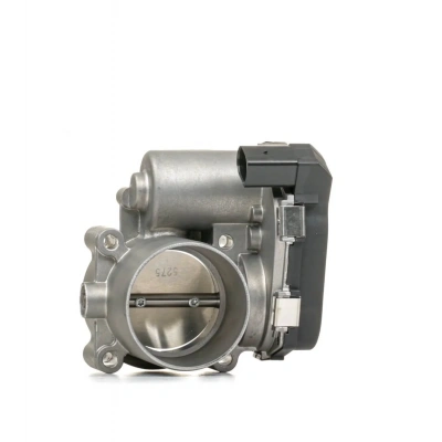 Volkswagen Passat Gaz Kelebeği