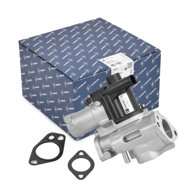 Volkswagen Touareg Egr Valfi