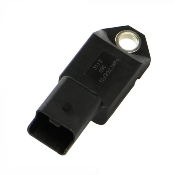 Citroen Map Sensörü FACET 10.3113