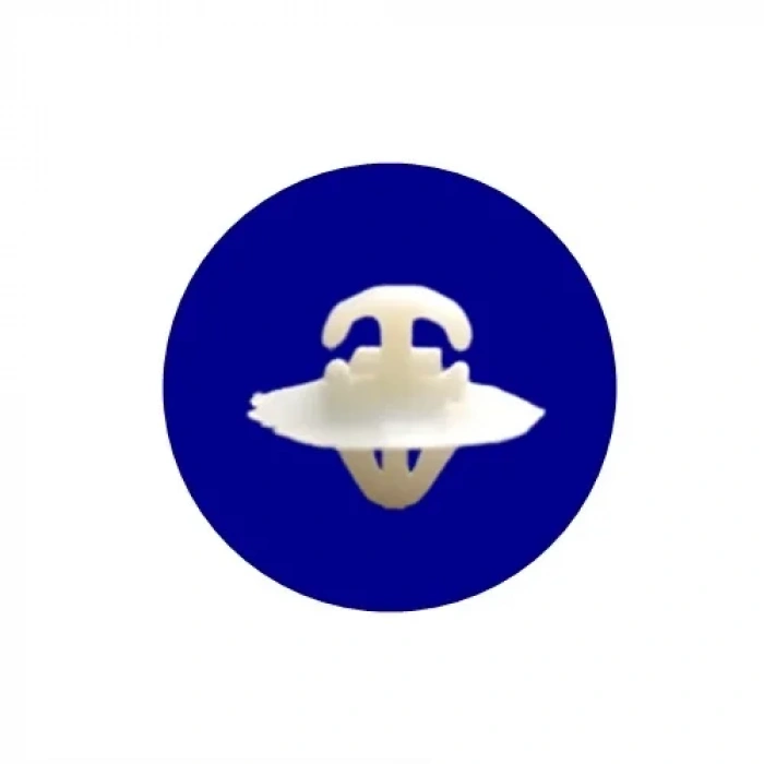 Renault Çıta Klipsi 11080203