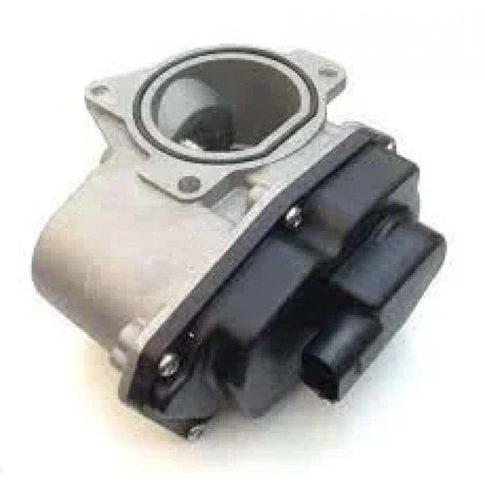 Volkswagen Tiguan Egr Valfi