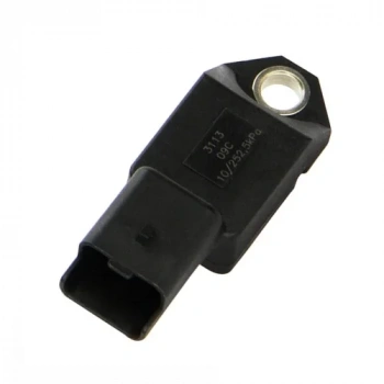 Citroen Map Sensörü FACET 10.3113