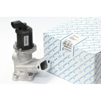 Fiat Punto Egr Valfi