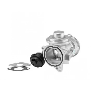 Volkswagen Passat Egr Valfi