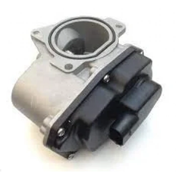 Volkswagen Tiguan Egr Valfi