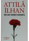 Bir Sap Kırmızı Karanfil Cumhuriyet Söyleşileri (Eylül 96 - Mart 97)