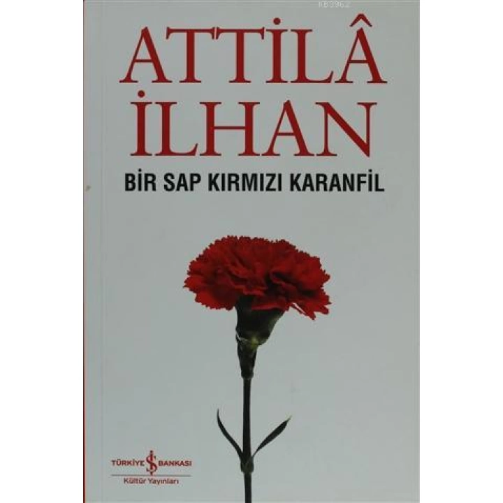 Bir Sap Kırmızı Karanfil Cumhuriyet Söyleşileri (Eylül 96 - Mart 97)