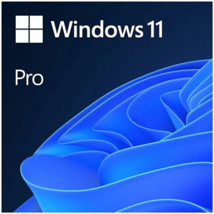 MS WINDOWS 11 PRO 64BIT ENG (OEM) FQC-10528