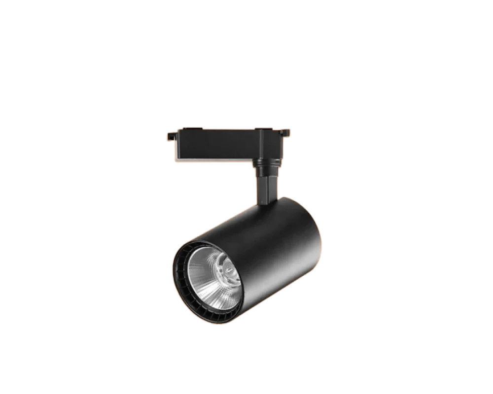 30 Watt Ray Spot Beyaz ve Gün Işığı