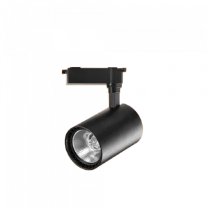 30 Watt Ray Spot Beyaz ve Gün Işığı